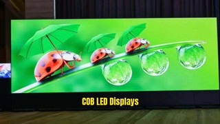 옥수수 속 LED 디스플레이 / 옥수수 속 LED 스크린
